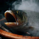 Fisch richtig Räuchern: Tipps, Tricks und Wissenwertes in unserem Ratgeber